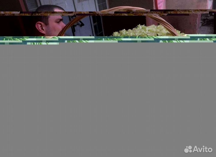 Розы Букеты Цветы Розы 31 101 151 201 Доставка