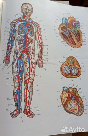 Медицинская энциклопедия СССР