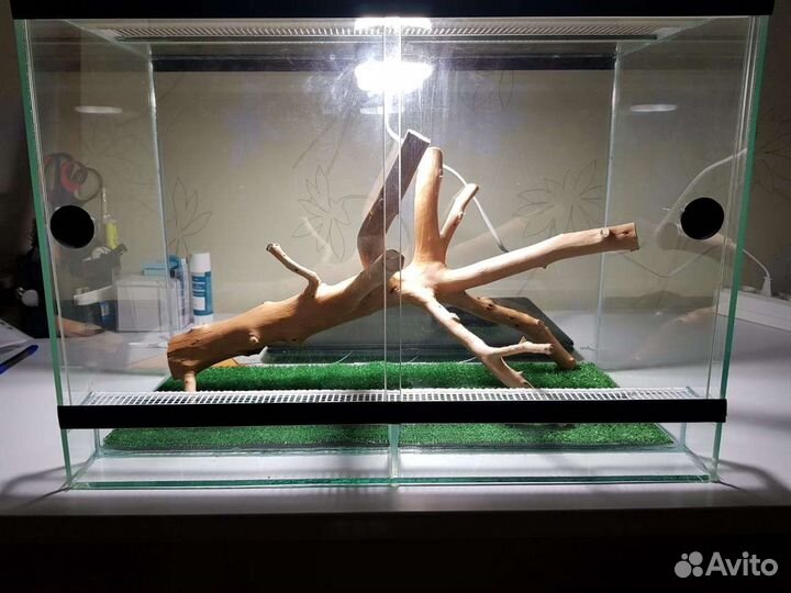 Террариумы