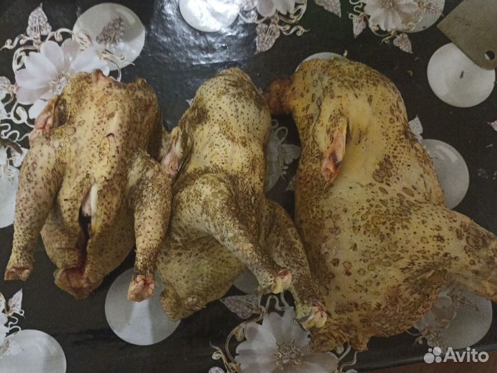 Куры тушки