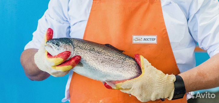 Вкусная и сочная форель