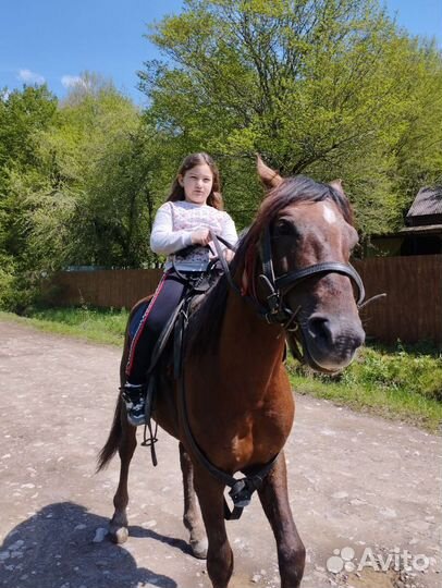 Конные прогулки