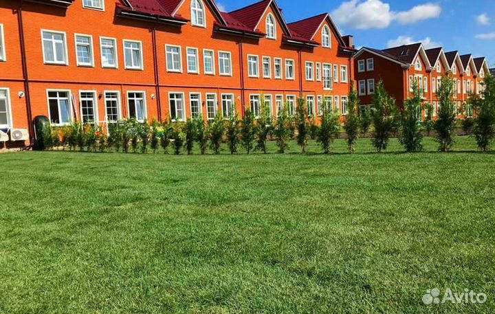 Рулонный газон с бесплатным замером