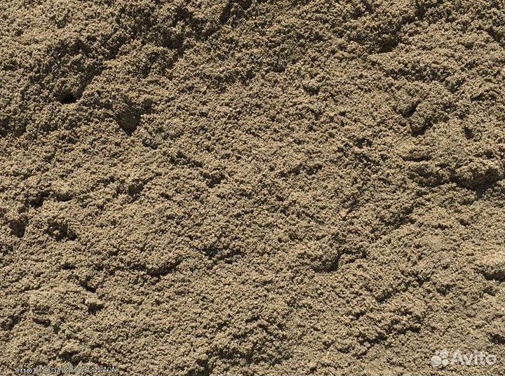 Грунт для планирования участка. сорт П-01.1