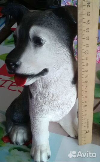 Копилка собака