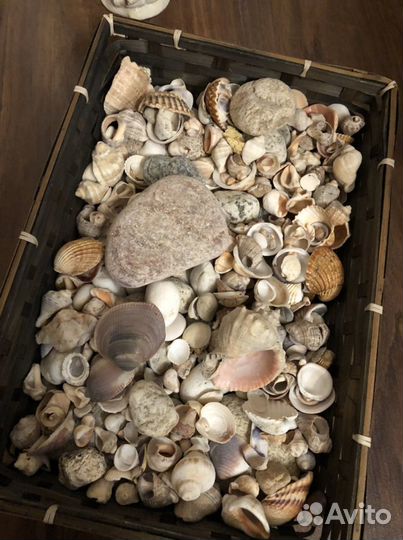 Грунт, ракушки, кораблик