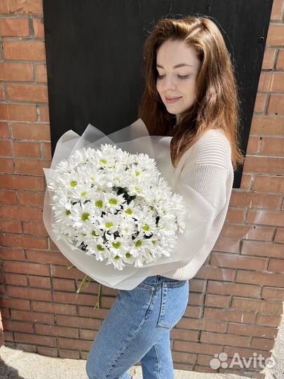 Хризантема ромашки цветы букеты доставка