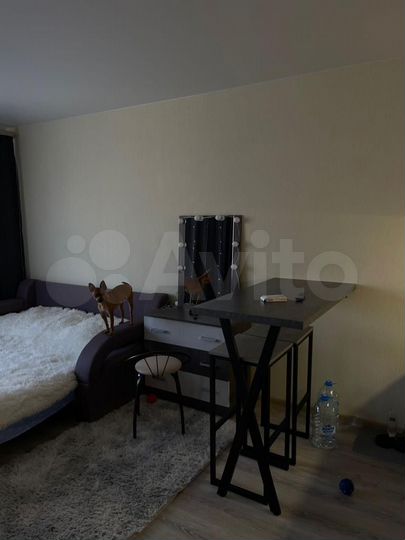 Квартира-студия, 28,1 м², 9/18 эт.