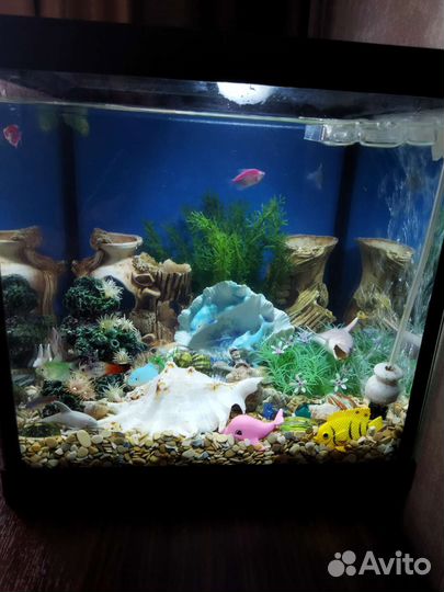 Аквариум с рыбками