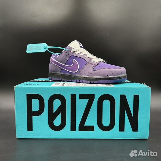 Кроссовки Nike sb dunk low purple lobster