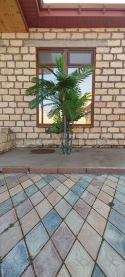 Дача 350 м² на участке 6 сот.