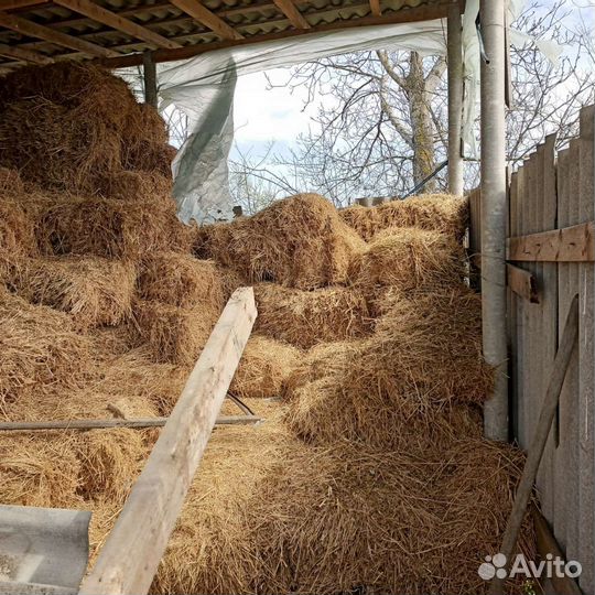 Сено солома в тюках