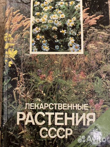 Лекарственные растения СССР