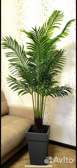 Искусственная Пальма