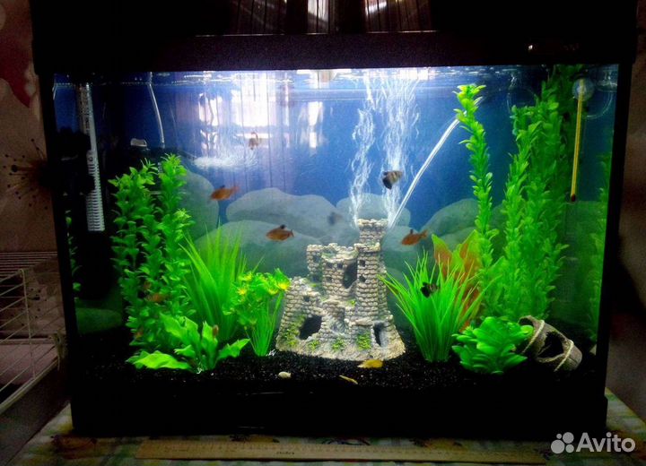 Аквариумист, обслуживание аквариумов, террариумов