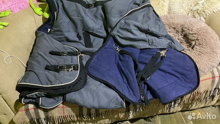 Попона для лошади