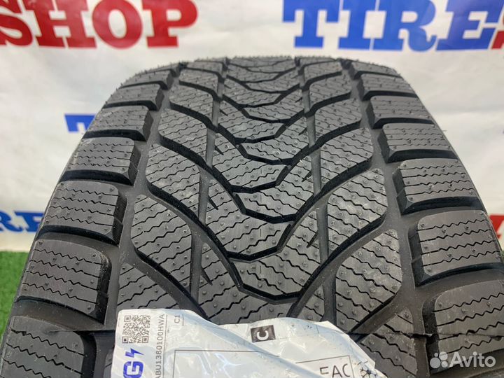 Pace Antarctica 5 255/45 R19 100H