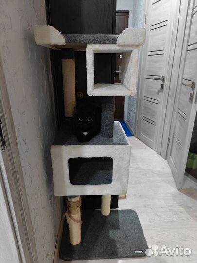 Домик для кошки