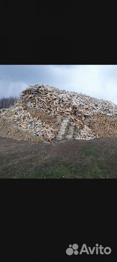 Разный вид дров