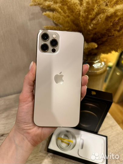 iPhone 12 pro 256