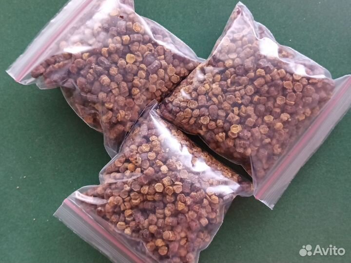 Перга пчелиная. Пенза 2023г