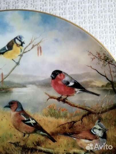 Тарелка настенная 26 см. Финальная