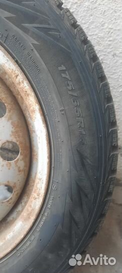 Nexen Winguard Spike WS62 175/65 R14