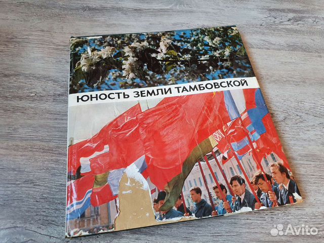 Книга юность земли тамбовской