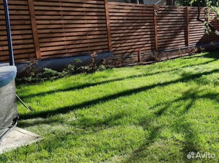 Качественный газон спортивный