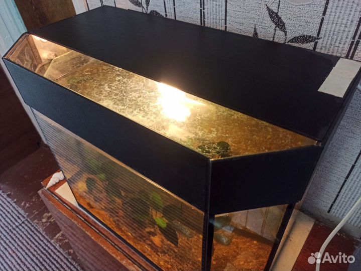 Аквариум 60 л. Комплект