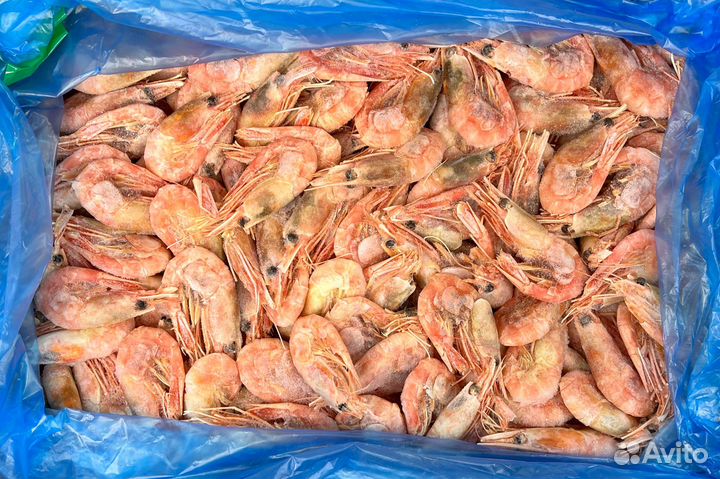 Креветки северные 70/90, Китай