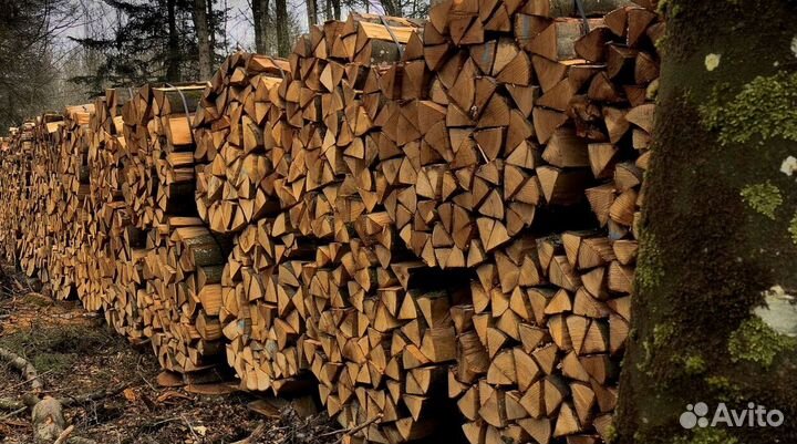 Дрова береза осина
