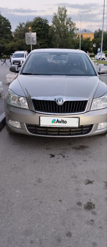 Skoda Octavia: фото владельца