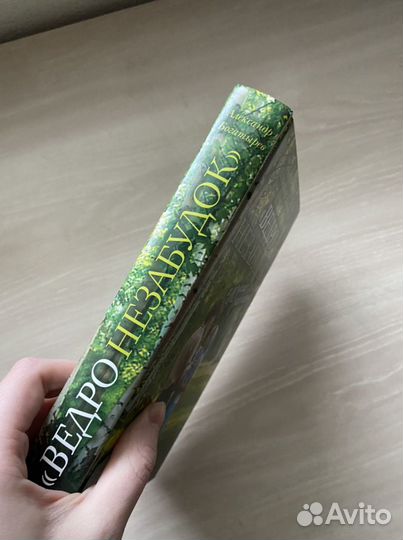 Книга Ведро незабудок. Богатырев Александр