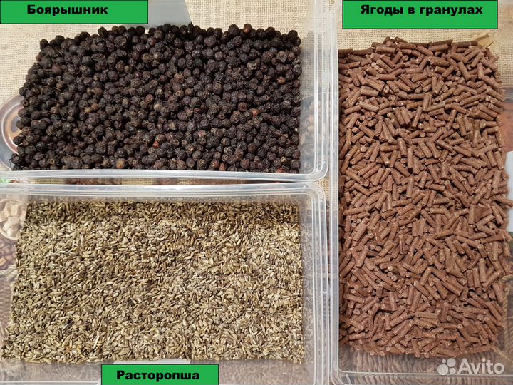 Корм для шиншилл