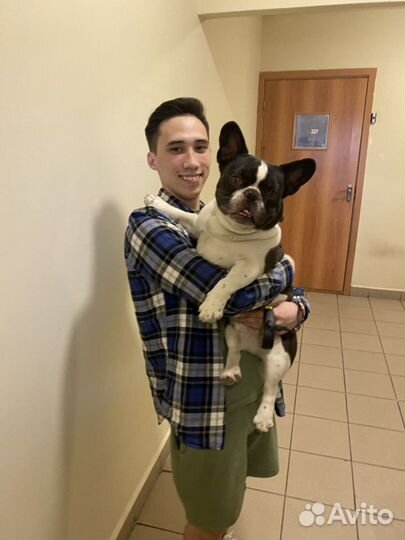 Тестирование