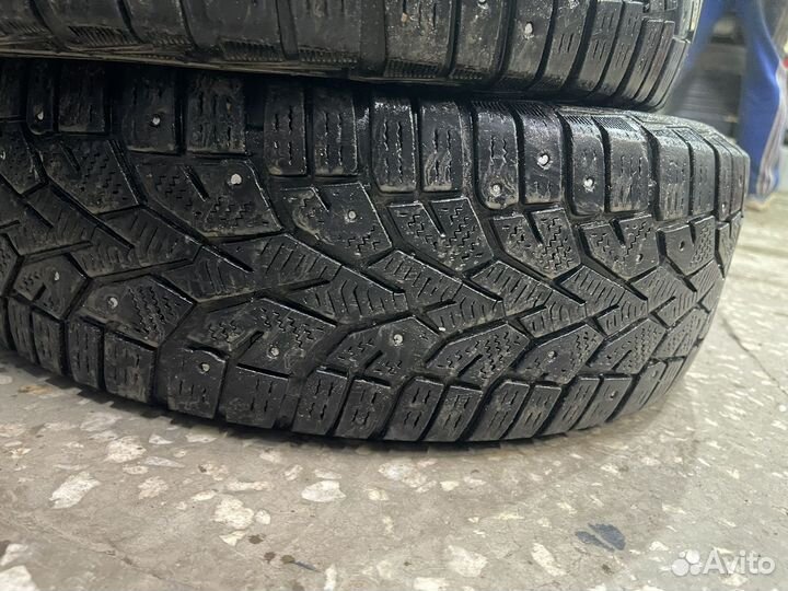 Gislaved NordFrost 100 185/70 R14