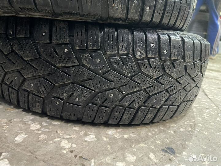 Gislaved NordFrost 100 185/70 R14