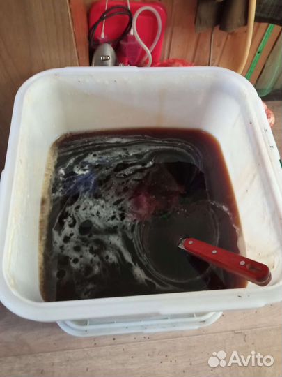 Свежайший Алтайский таëжный мëд