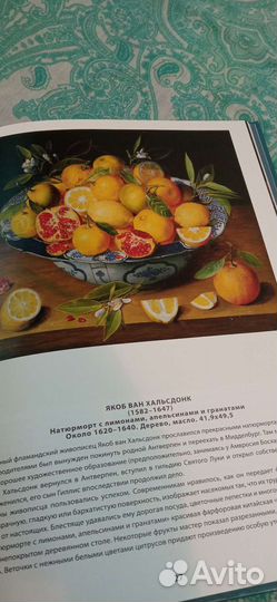 Книги музеи мира 100 томов