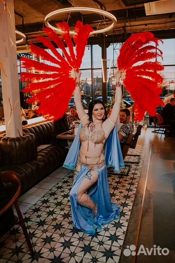 Восточное Световое шоу,Восточные танцы,Шоу восток