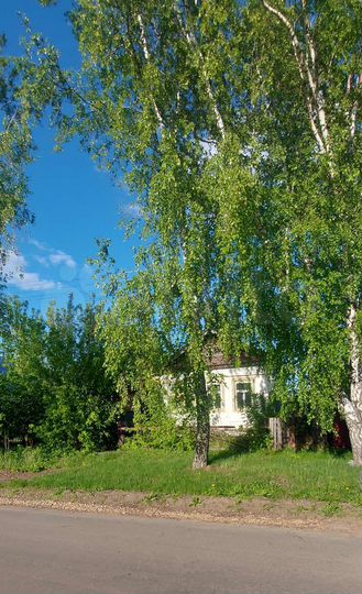 Дом 50 м² на участке 14 сот.