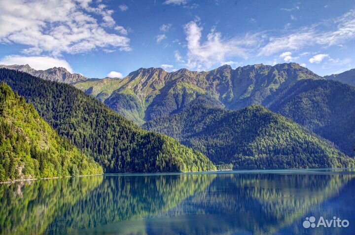 Тур путевка в Абхазию 7 нч завтрак