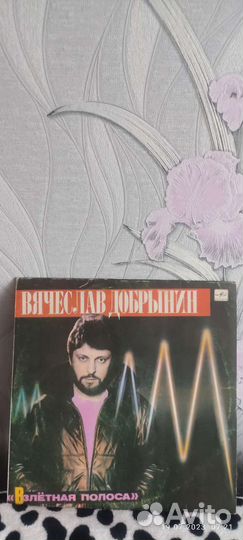 Виниловые пластинки Добрынин