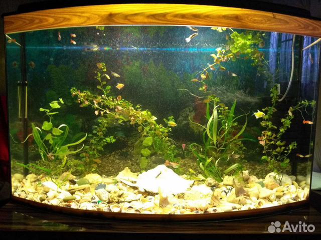 Аквариум 180 литров