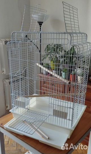 Супер большая клетка вольер