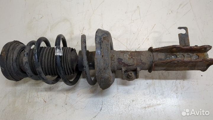 Амортизатор подвески Opel Insignia, 2012