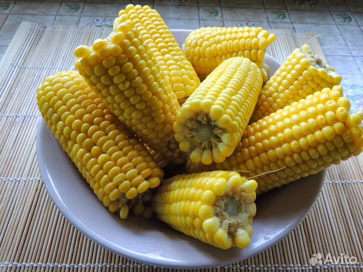 Кукуруза в початках