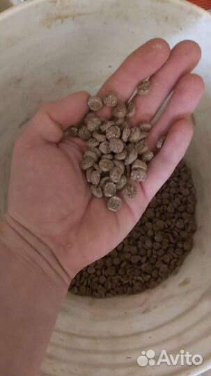 Сухой корм для собак 30кг