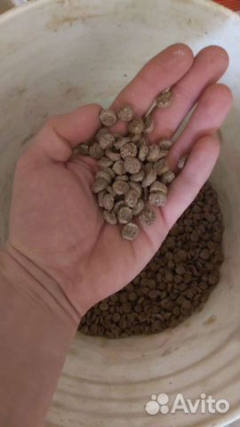 Сухой корм для собак 30кг